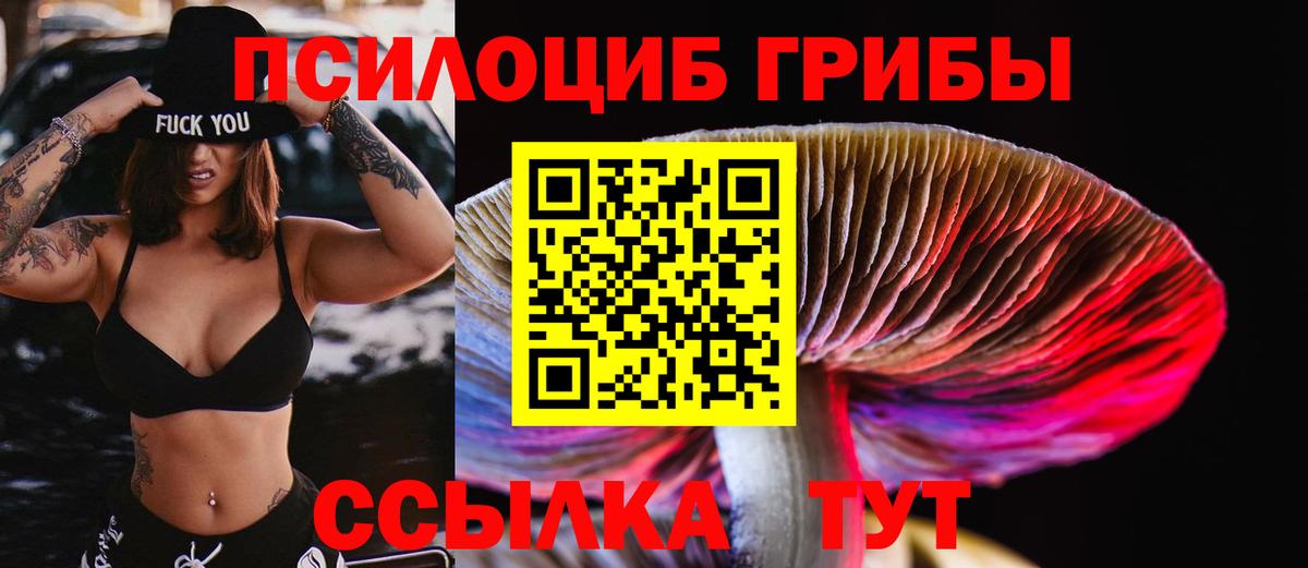 Галлюциногенные грибы MAGIC MUSHROOMS  Вход с VPN  Апшеронск 